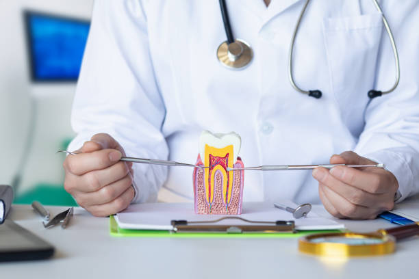 Best Walk-In Emergency Dentist in Riverview, SC